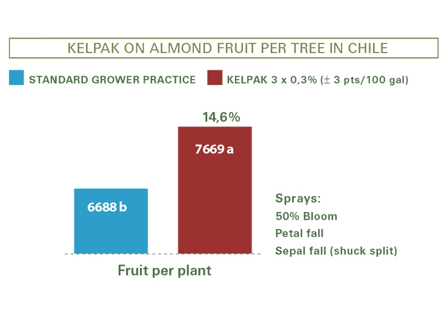 Kelpak on almonds