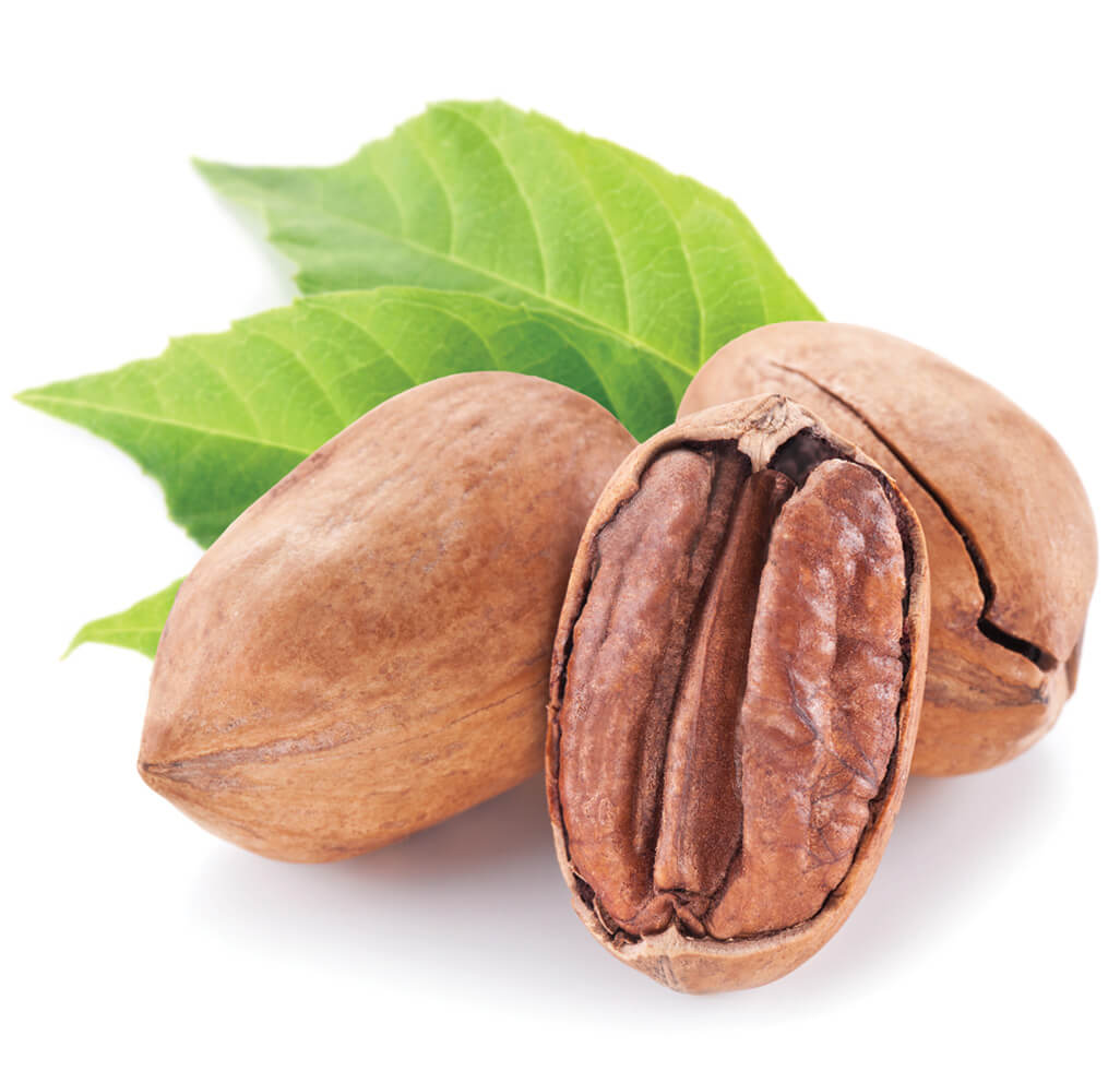 pecans
