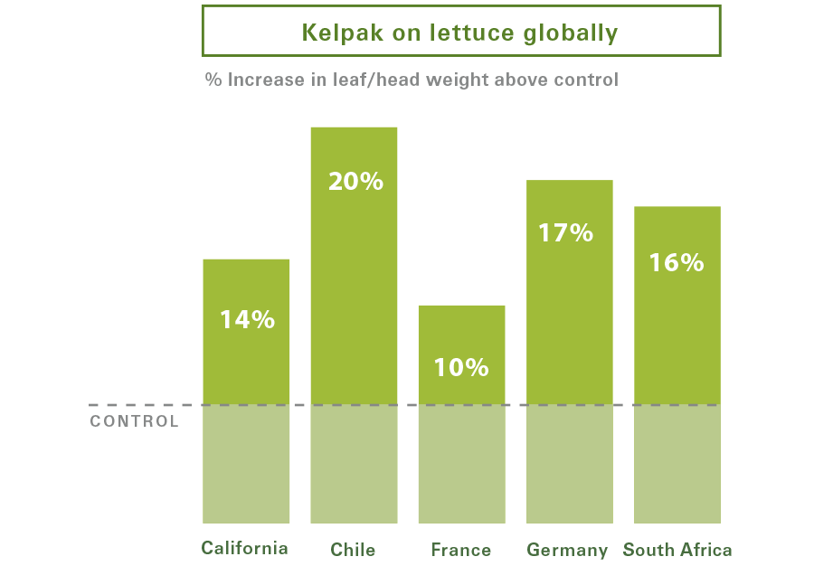 Leafy Vegetables